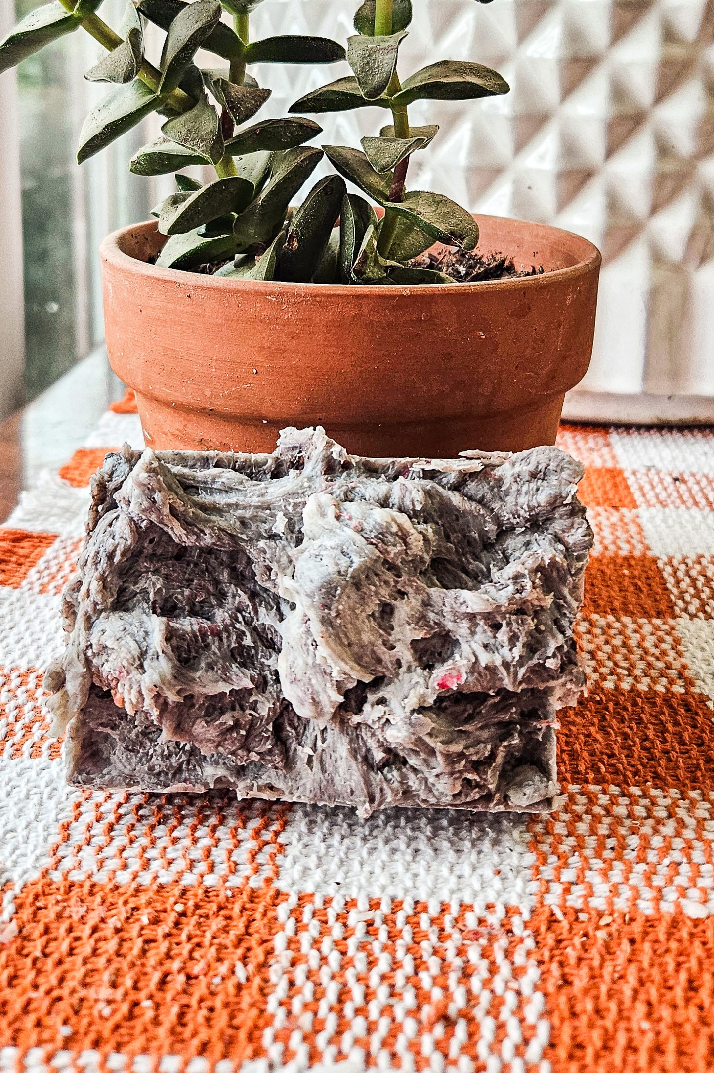 LIMITED EDITION Butterscotch Cookie Dough